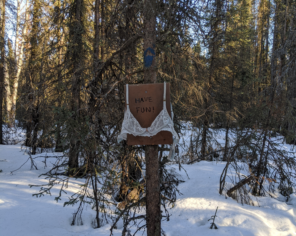 A sign found in the Wilderness that says: Have fun! The sign is wearing a lace brassiere.